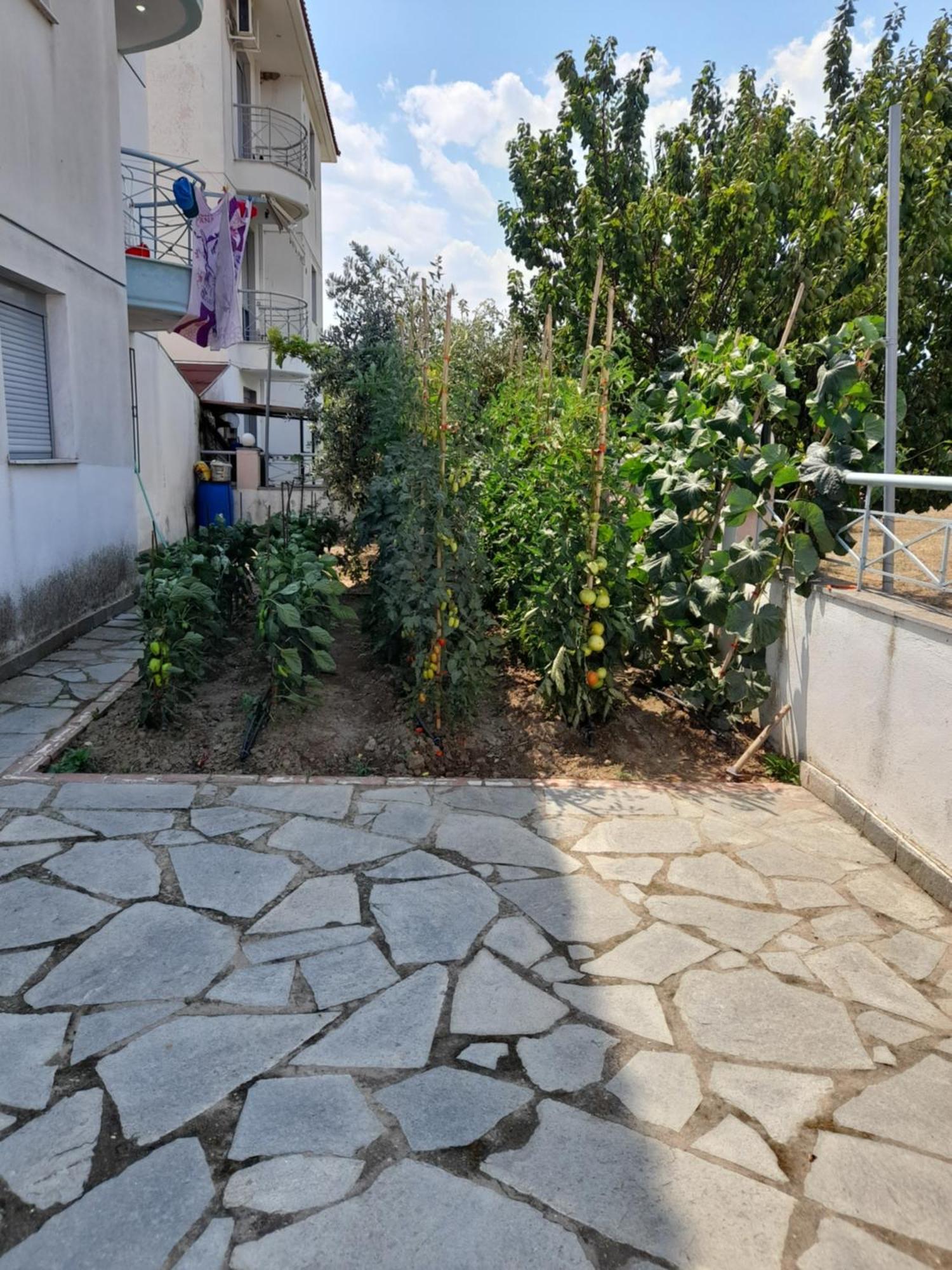Dominikis Appartment Néa Péramos Exterior foto